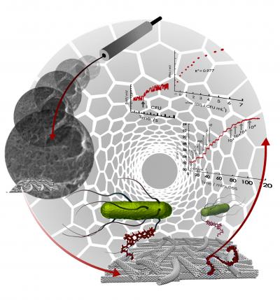 Carbon nanotube bacteria biosensor for typhoid fever